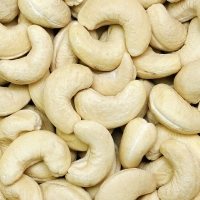 Cashew